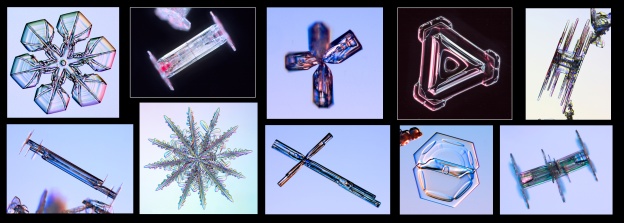 Algunas de las muchas formas diferentes de cristales de nieve