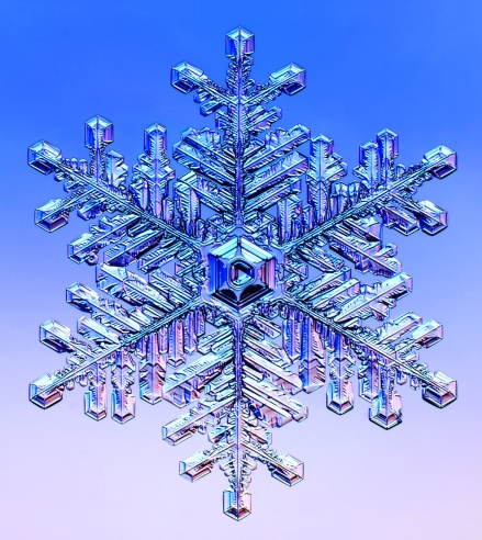 un cristal de nieve